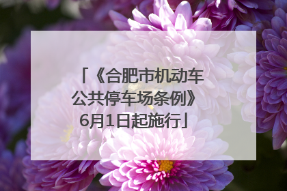 《合肥市机动车公共停车场条例》6月1日起施行