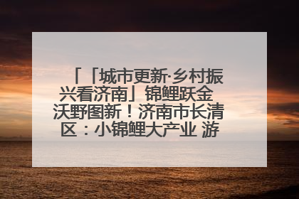 「城市更新·乡村振兴看济南」锦鲤跃金 沃野图新！济南市长清区：小锦鲤大产业 游出农旅新风景