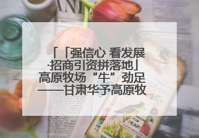 「强信心 看发展·招商引资拼落地」高原牧场“牛”劲足——甘肃华予高原牧场高标准奶牛肉牛养殖项目一线见闻