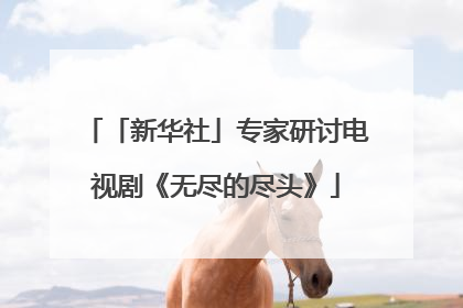 「新华社」专家研讨电视剧《无尽的尽头》