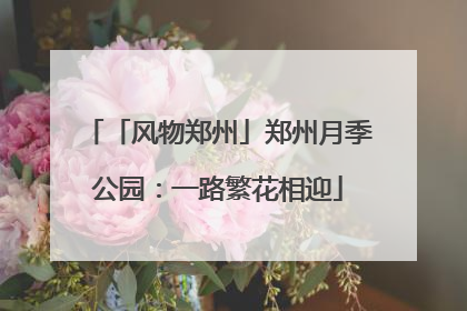 「风物郑州」郑州月季公园：一路繁花相迎