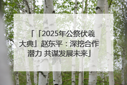 「2025年公祭伏羲大典」赵东平：深挖合作潜力 共谋发展未来