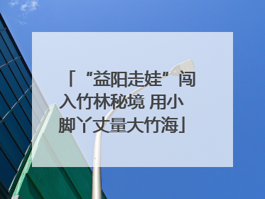 “益阳走娃”闯入竹林秘境 用小脚丫丈量大竹海
