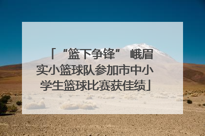 “篮下争锋” 峨眉实小篮球队参加市中小学生篮球比赛获佳绩