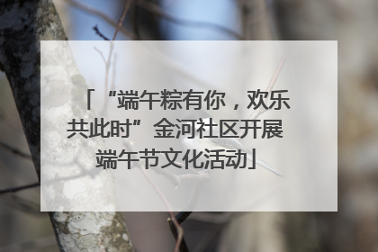 “端午粽有你，欢乐共此时”金河社区开展端午节文化活动