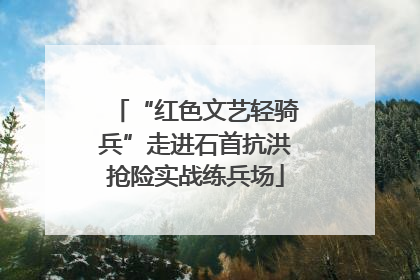 “红色文艺轻骑兵”走进石首抗洪抢险实战练兵场