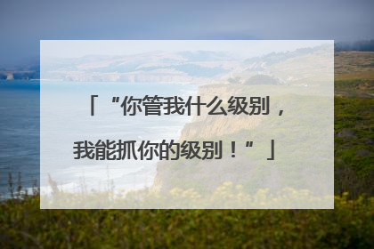 “你管我什么级别，我能抓你的级别！”