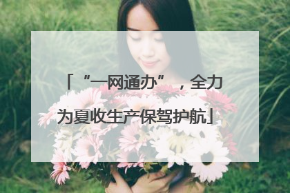 “一网通办”，全力为夏收生产保驾护航