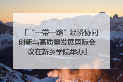 “一带一路”经济协同创新与高质量发展国际会议在新乡学院举办