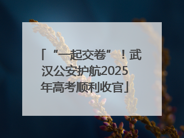 “一起交卷”！武汉公安护航2025年高考顺利收官