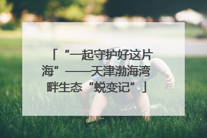 “一起守护好这片海”——天津渤海湾畔生态“蜕变记”