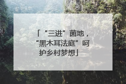 “三进”菌地，“黑木耳法庭”呵护乡村梦想