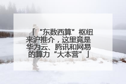 “东数西算”枢纽来沪推介，这里竟是华为云、腾讯和网易的算力“大本营”