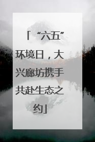 “六五”环境日，大兴廊坊携手共赴生态之约