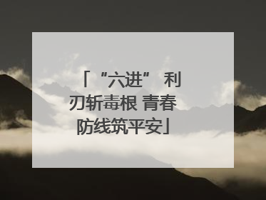 “六进” 利刃斩毒根 青春防线筑平安
