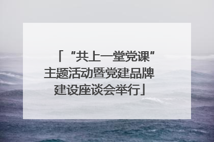“共上一堂党课”主题活动暨党建品牌建设座谈会举行