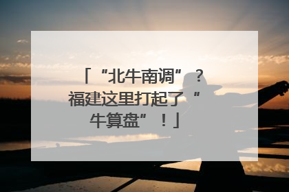 “北牛南调”？福建这里打起了“牛算盘”！