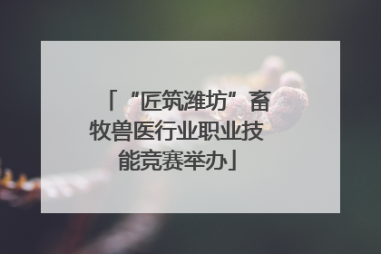 “匠筑潍坊”畜牧兽医行业职业技能竞赛举办