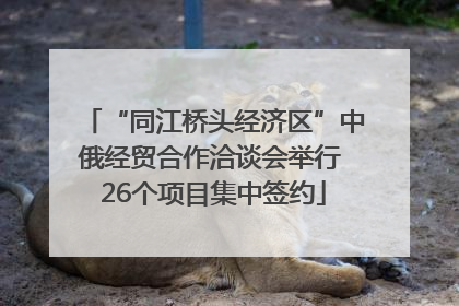 “同江桥头经济区”中俄经贸合作洽谈会举行 26个项目集中签约