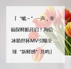 “呲～”一声，幸福保鲜舱开启！海信冰箱世杯MV引爆全球“新鲜感”共鸣