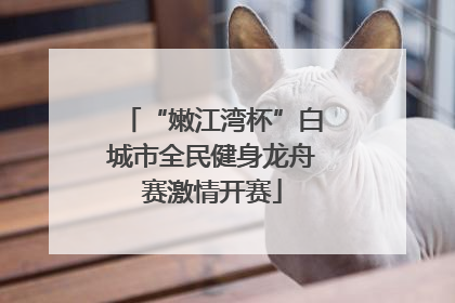 “嫩江湾杯”白城市全民健身龙舟赛激情开赛