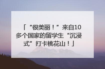 “很美丽！”来自10多个国家的留学生“沉浸式”打卡桃花山！