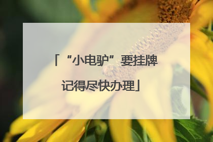 “小电驴”要挂牌 记得尽快办理