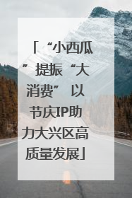 “小西瓜”提振“大消费” 以节庆IP助力大兴区高质量发展