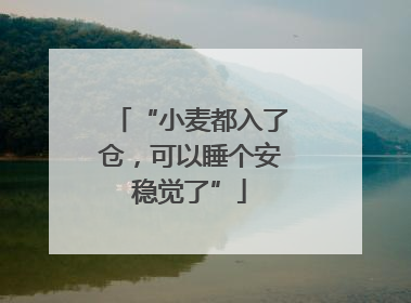“小麦都入了仓，可以睡个安稳觉了”