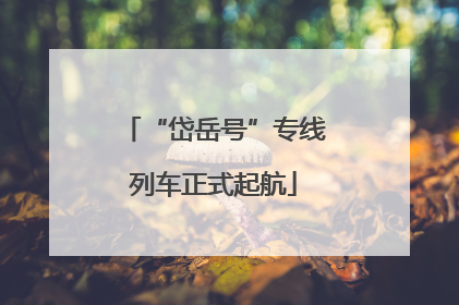 “岱岳号”专线列车正式起航