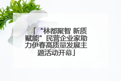 “林都聚智 新质赋能”民营企业家助力伊春高质量发展主题活动开幕