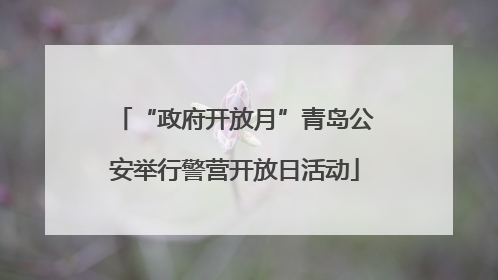 “政府开放月”青岛公安举行警营开放日活动