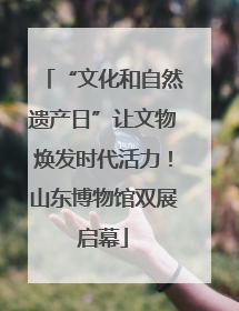 “文化和自然遗产日”让文物焕发时代活力！山东博物馆双展启幕