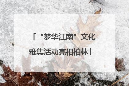 “梦华江南”文化雅集活动亮相柏林