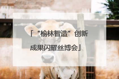 “榆林智造”创新成果闪耀丝博会