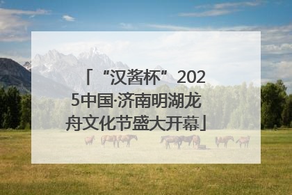 “汉酱杯”2025中国·济南明湖龙舟文化节盛大开幕