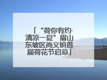 “荷你有约·清凉一夏”眉山东坡区尚义镇首届荷花节启幕