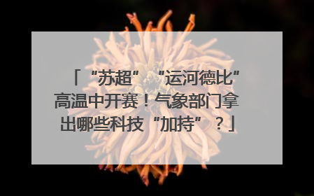 “苏超”“运河德比”高温中开赛！气象部门拿出哪些科技“加持”？