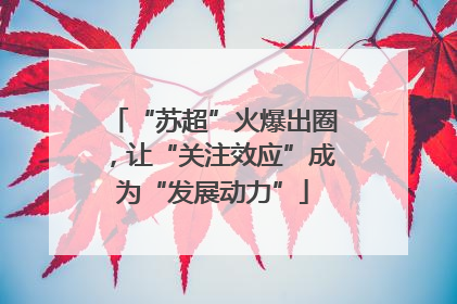 “苏超”火爆出圈，让“关注效应”成为“发展动力”