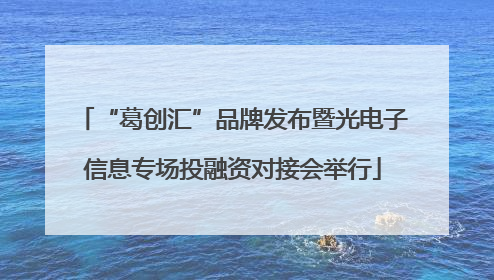“葛创汇”品牌发布暨光电子信息专场投融资对接会举行