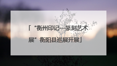 “衡州印记—篆刻艺术展”衡阳县巡展开展