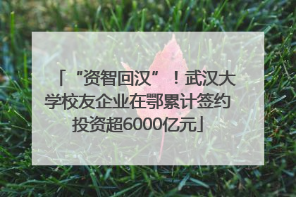 “资智回汉”！武汉大学校友企业在鄂累计签约投资超6000亿元