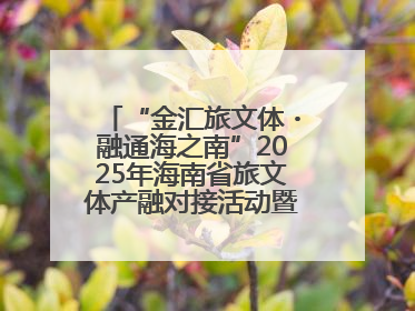 “金汇旅文体・融通海之南”2025年海南省旅文体产融对接活动暨金融服务中心成立仪式举行