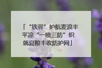 “铁翼”护航麦浪丰 平凉“一喷三防”织就夏粮丰收防护网