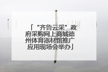 “齐鲁云采”政府采购网上商城德州体育器材馆推广应用现场会举办