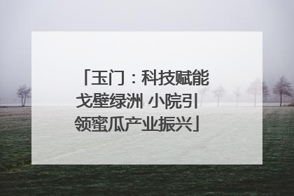 玉门：科技赋能戈壁绿洲 小院引领蜜瓜产业振兴