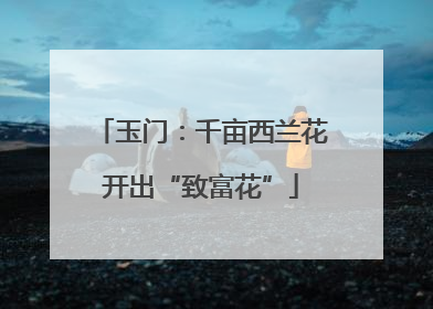玉门：千亩西兰花开出“致富花”