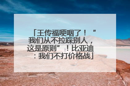 王传福哽咽了！“我们从不拉踩别人，这是原则”！比亚迪：我们不打价格战