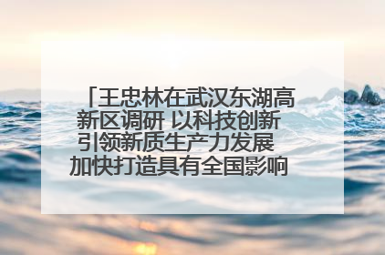 王忠林在武汉东湖高新区调研 以科技创新引领新质生产力发展 加快打造具有全国影响力的科技创新高地
