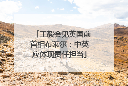 王毅会见英国前首相布莱尔：中英应体现责任担当